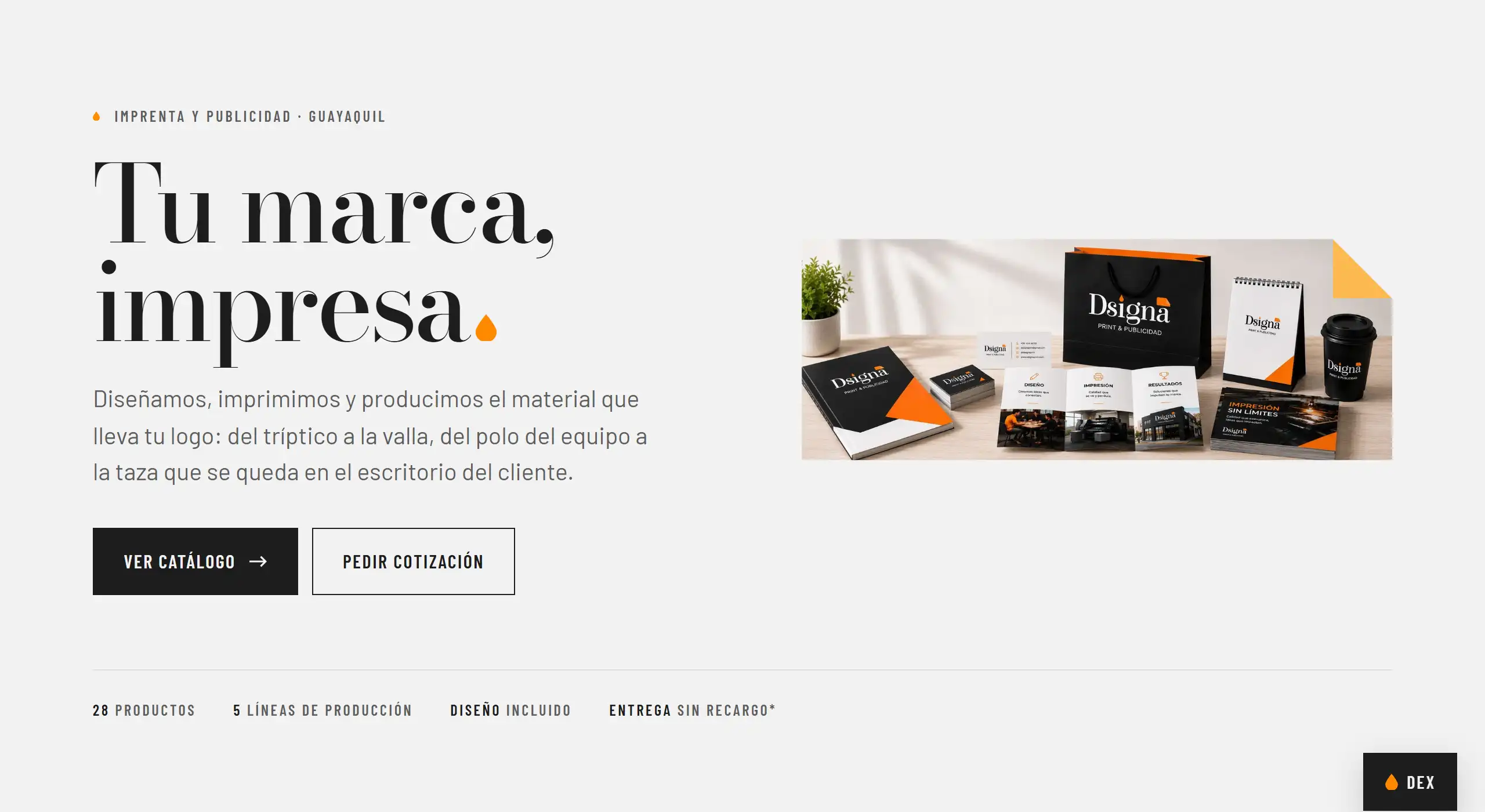 Portada del sitio de Dsigna, con su titular y el catálogo de productos impresos